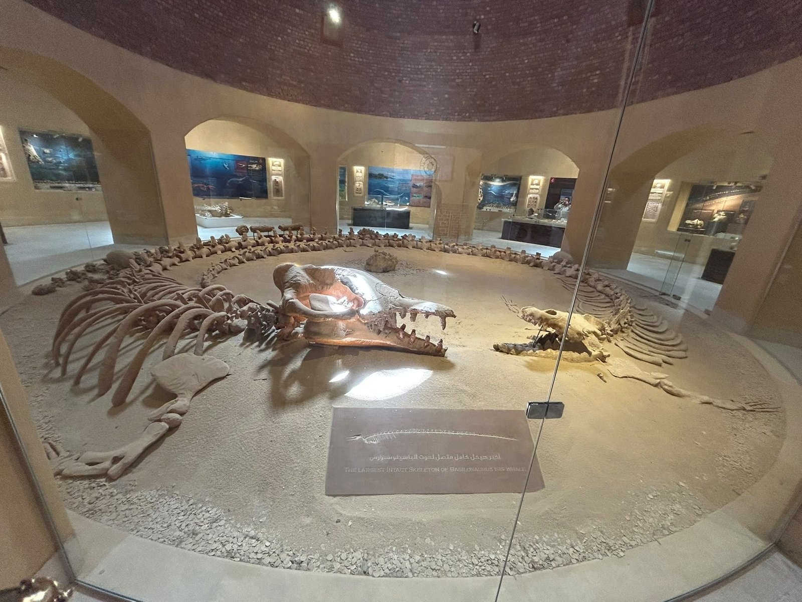 Fayoum Day Trip from Cairo | Wadi El Hitan, Magic Lake &amp; Desert Safari - Egypt Tour Package