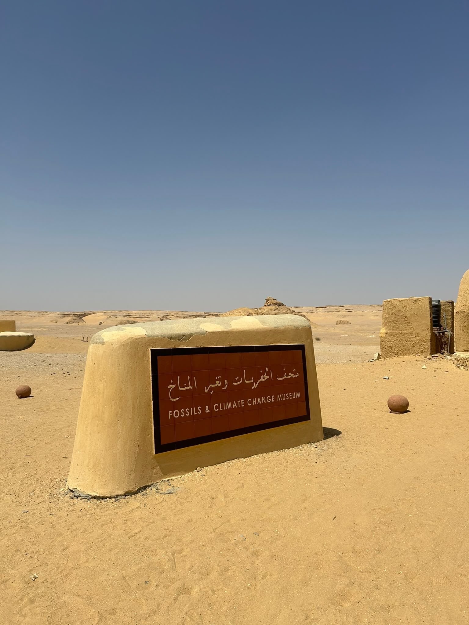 Fayoum Day Trip from Cairo | Wadi El Hitan, Magic Lake & Desert Safari – photo 3